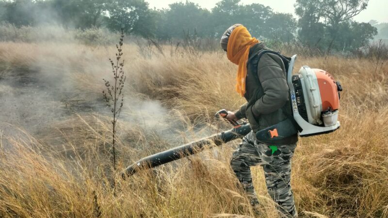 खुरचूट्टा वन क्षेत्र में लगी आग, बुझाने में करनी पड़ी ग्रामीणों को मशक्कत